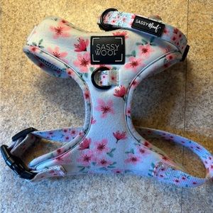 Sassy Woof Harness and Collar Set